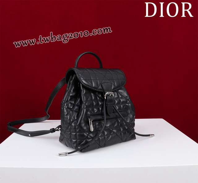 Dior专柜新款迪奥高仿原单女士双肩背包D007-006 djfk1593